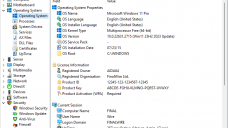 Windows 11